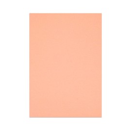 Sonjade Scrapbook Supplies Colored Cardstock Poster Board Crafts Construction Paper, 10 Sheets, 10 x 14.5 Inch, Flesh Color