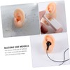 Beavorty Ear Models 2 Pack Fake Ears for Piercing Practice