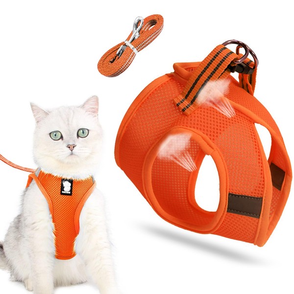 Cat harness with lead, cat harness and leash, small cat,