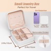 BeBeGee Travel Jewelry Case, Portable Mini Jewelry Travel Organizer, Small