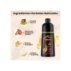 Shampoo Tinte Cubre Canas Contiene Extracto De Ginseng 500ml