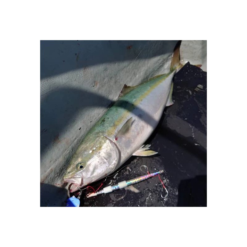 Azzurro Fulvo, 10.6 oz (300 g), Bull Pin