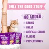 Stella & Chewy's Meowfulls Freeze Dried Cat Treats Whitefish &