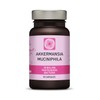 Kala Health Pasteurized Akkermansia – 30 Billion CFU – 30