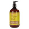 benecos Organic Hand Soap Organic Ginger + Organic Lemon Sau(B)