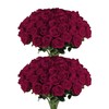 60 Pcs Wine Red Artificial Roses Bulk for Wedding Decor