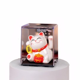 HKwroadrid Lucky Cat Waving Arm – Traditional Chinese Feng Shui Maneki Neko, for Car, Business Premises, Offices, and House – an Auspicious Charm for Good Fortune and Luck(White)