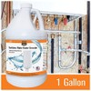 Chromex Tankless Water Heater Descaling Solution | Highly Effective Descale,