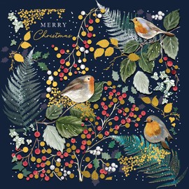 Marie Curie Charity Robins & Berries Christmas Cards, Pack of 10 with Envelopes, 14x14cm, 100% FSC Board, Made in UK