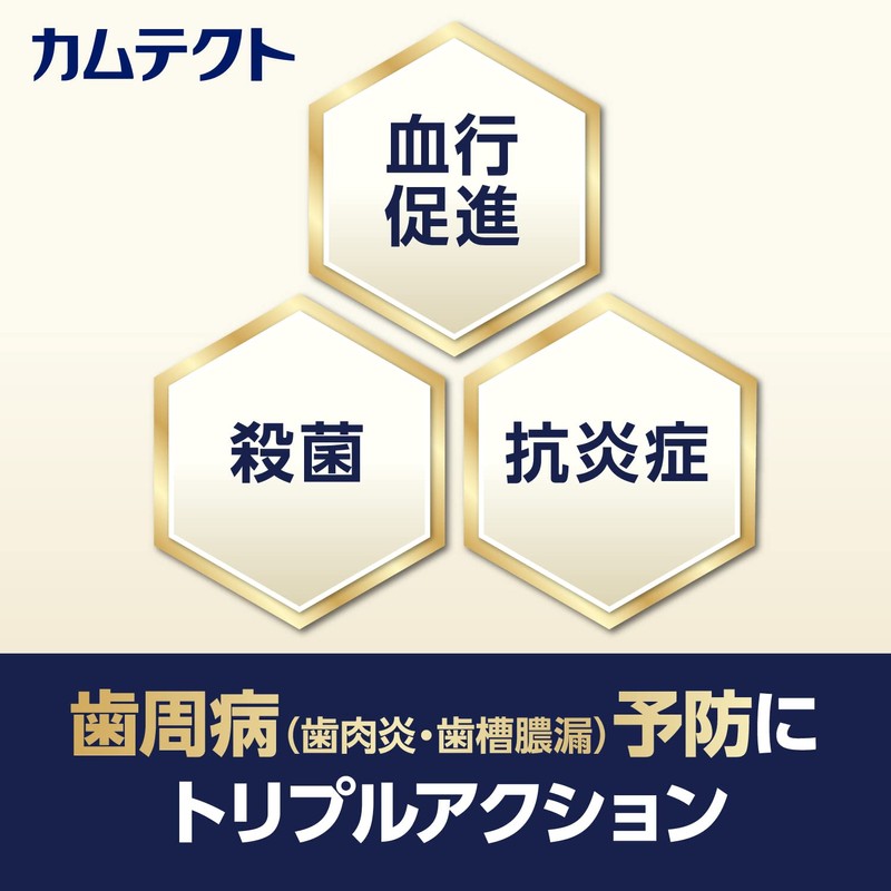 Kamtec Premium Whitening 3.3 oz (95 g)