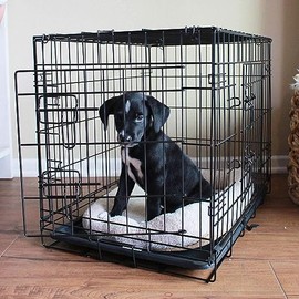Dog Crate Tray Dog Kennel Tray Replacement Medium Plastic Bottom Dog Crate Pan Replacement Tray for Dog Crate (42 inch)