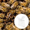 VORCOOL Pack of 5 Beekeepers Queen Bee Catcher Plastic Clip