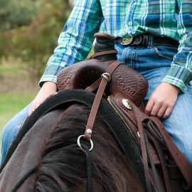 Rein Check Llc Dba Booma Rein Booma Rein Keeper Brown