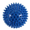 Everwellness Spikey Ball