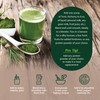 Dragon Herbs Tonic Alchemy Superfood Greens Powder with 91 Ingredients: