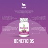 Cardo Mariano 100 Cápsulas Silimarina Potentes Propiedades Hepatoprotectoras Desintoxica Regenera