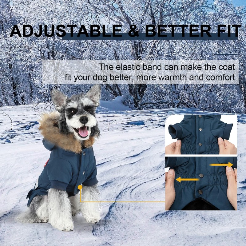 PINA Dog Coats for Small Dogs, Waterproof, Windproof, Hooded, Leash