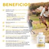 BIO B Omega 873mg EPA567mg DHASabor Hierbabuena sin eructo pescado120Cáp