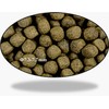 Aqua Master 10Kg Koi Staple Fish Food Large Pellet, 22-Pound
