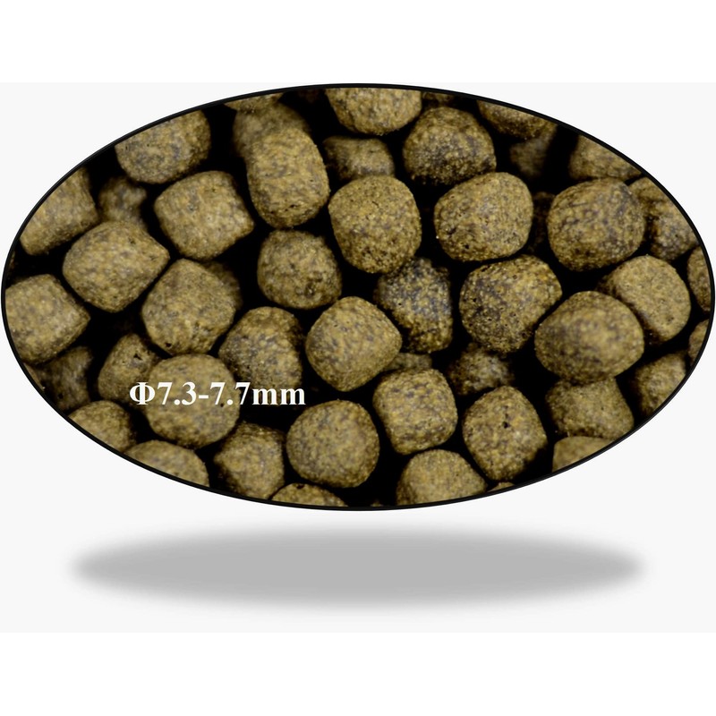 Aqua Master 10Kg Koi Staple Fish Food Large Pellet, 22-Pound