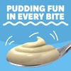 Jell-O Coconut Cream Instant Pudding & Pie Filling Mix (24