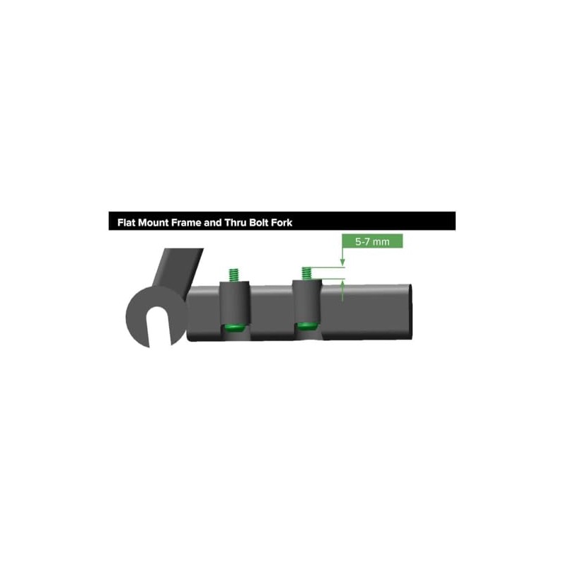 SRAM Bracket Mounting Bolts Stainless T25 42mm 2 Pcs Flat