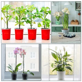 TUXBAWAY 16 Inch Plant Support Stakes (Pack of 10), Garden Single Stem Amaryllis Flower Stake, Metal Plant Cage Support Rings Plants Support Sticks with 10 PCS Plant Clips