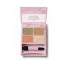 DAISY DOLL by MARY QUANT (デイジードールバイマリークヮント) Eye Color Palette BR-05