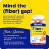 Enzymedica Fiber+ Gummies with Pre & Probiotics for Daily Regularity