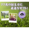 Golf Ball Set 77 Years Old Kishu Purple Birthday Thank