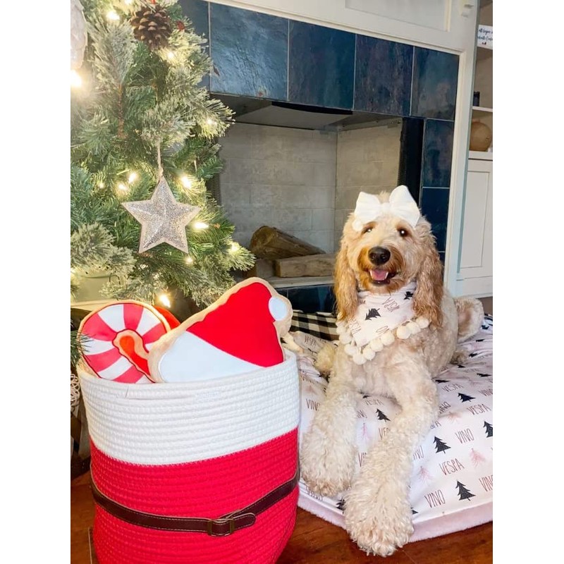 Christmas Santa Rope Basket (Small)