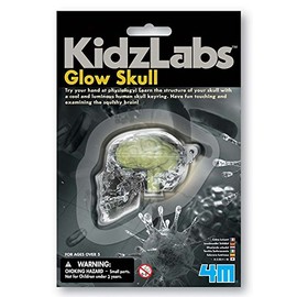 4M 00-03313 - Kidz Labs - Glow Skull, Bunt