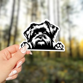 Affenpinscher Dog Peeking Vinyl Sticker - for Water Bottle Car Tumbler Laptop - Waterproof - 5"