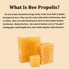 Bee Propolis for Dogs & Cats, Daily Immune System Support,