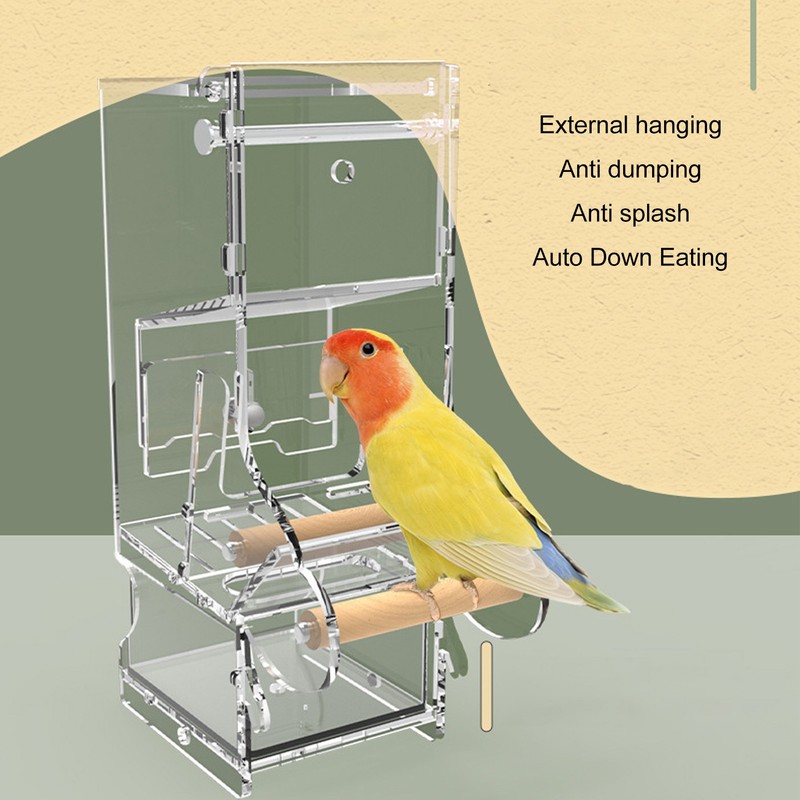 Automatic Parrot Feeder Prevent Spillage and Splashing Easy Installation Acrylic