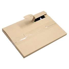 Earth Cardboard ID0082 Cardboard, Compatible with Kuroneko DM Services, Set of 300, A4, Thickness 0.8 inches (2 cm), Zipper Processing Included