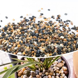 2.4lb 1/2" Pebbles for Plants Potting,Succulents Aquarium Fish Tank Vases-Decorative River Rocks Garden Gravel Stones