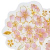 Sanrio JSC 16-5 718475 Message Card, Spring, Transparent Material Cherry