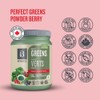 Botanica Botanica Health Perfect Greens Powder Berry Flavour C Chlorella,
