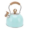 2.5L Whistling Tea Kettle with Handle Stainless Steel Portable Stovetop