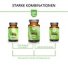 BeGreen Infla Green with Organic Turmeric Capsules with MSM, Ginger,
