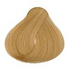 Loquay Tinte en crema Pure Color, Rubio Muy Claro Dorado,