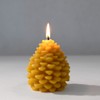 The Beeswax Co Pinecone Beeswax Candle - Natural Honey Scented
