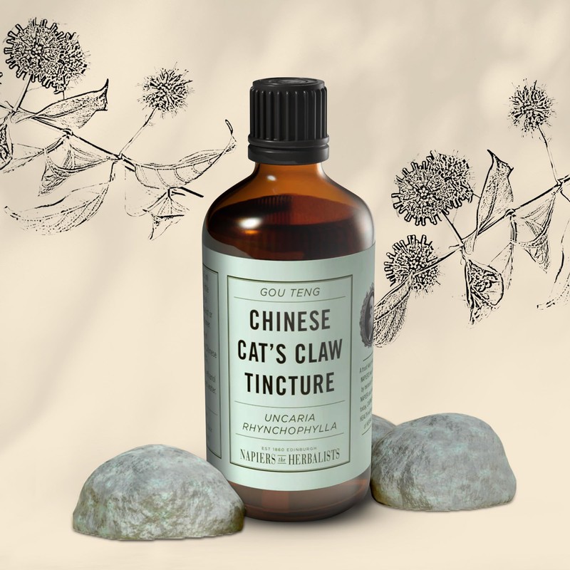Napiers Gou Teng Tincture (Ramulus uncariae/Uncaria rhynchophylla) - Herbal Supplement
