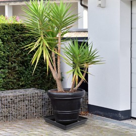 FAVOMOTO 2PCS Square Plant Saucers: Heavy Duty Plastic Trays for Indoor - Outdoor Pots with Drainage Holes - Plant Drip Tray Water Catchment Base for Planters & Seedling (14 Inch)