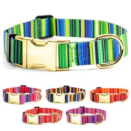 Dog Collar with Metal Buckle - Gold Color Buckle (Serape Green, Large 16-22")