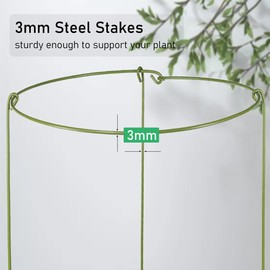 Boinio Adjustable Snake Plant Support Stakes, Peony Supports Cages Garden Plant Support Rings for Potted Plants Indoor and Outdoor, 3-Pack (10" W x 17" H)