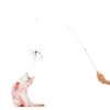 SHIMMURR Cat Wand 38" - Retractable Cat String Toy with