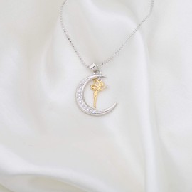 Lywjyb Birdgot Happy Kisses Tooth Fairy Necklace Tooth Fairy Crescent Moon Pendant Dust BellaMira Fairy Jewelry for Children Girls Dentist Dental Hygienist Assistant Tooth Fairy (Tooth Fairy Necklace CA)