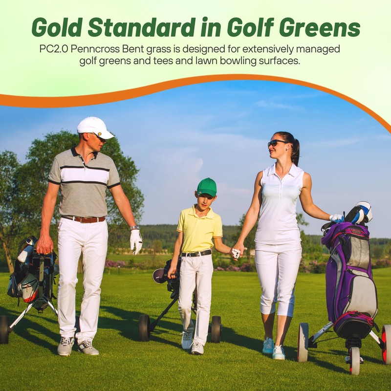 Outsidepride PC2.0 (Penncross) Creeping Bent Grass Seed – 1 lb.
